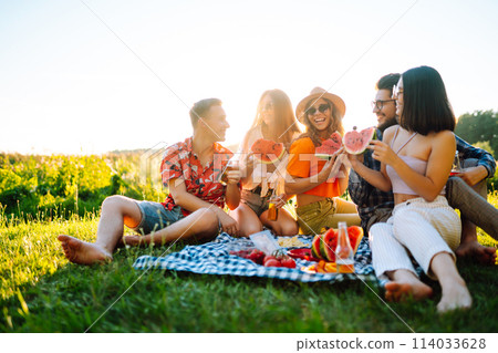 Cheerful company on sunny meadow at picnic is resting, drinking beer, cheers. Holliday concept. 114033628