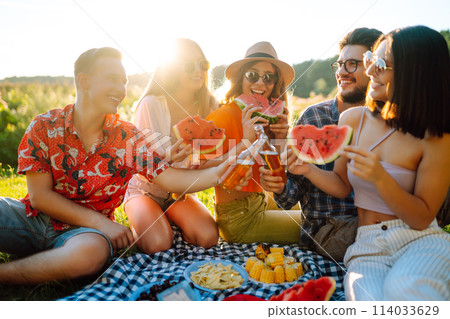Group of young friends having picnic, eating watermelon, enjoy summer party. Summer vacation concept 114033629