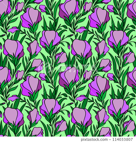 seamless contour pattern of large magenta flowers on a green background, texture seamless contour pattern of large magenta flowers on a green background, texture 114033807