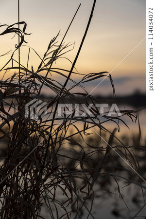 beautiful sunset on the lake with reflection in the water 114034072