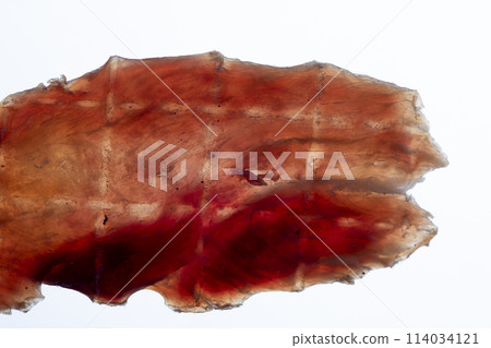 dried pork meat on the table in close-up dried pork meat on the table in close-up 114034121