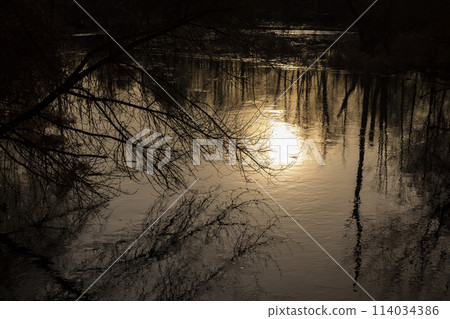the river and the trees without foliage after the snow melts the river and the trees without foliage after the snow melts 114034386