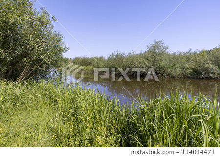 a wide river in eastern Europe, the Neman 114034471