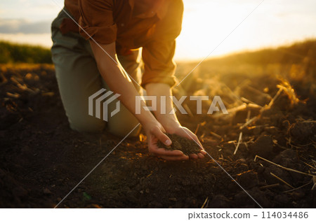 Woman farmer's hand touch soil, check its health before growing vegetables. Concept of agriculture. 114034486