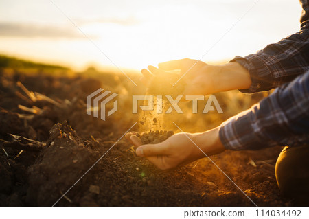 Hand of farmer collect soil, checking soil health before growth seed of vegetable Harvesting concept Hand of farmer collect soil, checking soil health before growth seed of vegetable Harvesting concept 114034492