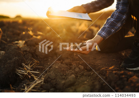 Hand of farmer collect soil, checking soil health before growth seed of vegetable Harvesting concept 114034493