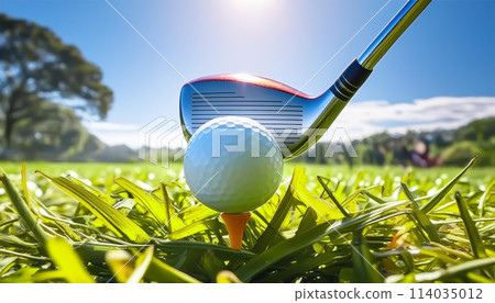 Golf image 114035012
