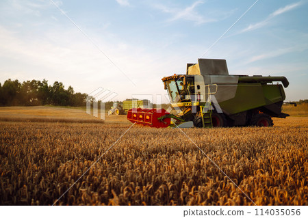 Modern industrial combine harvester harvests wheat cereals on a summer day. Rich harvest concept. Modern industrial combine harvester harvests wheat cereals on a summer day. Rich harvest concept. 114035056