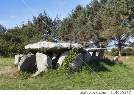 The Gallery grave of Ile-Grande in Pleumeur-Bodou The Gallery grave of Ile-Grande in Pleumeur-Bodou 114035177