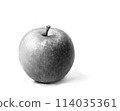 鉛筆畫風格蘋果 114035361