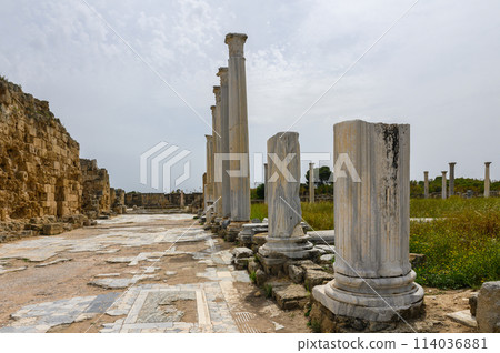 Remains of the ancient city of Salamis, Northern Cyprus 114036881