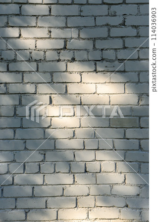 Shadows from foliage on a brick wall 2 Shadows from foliage on a brick wall 2 114036903