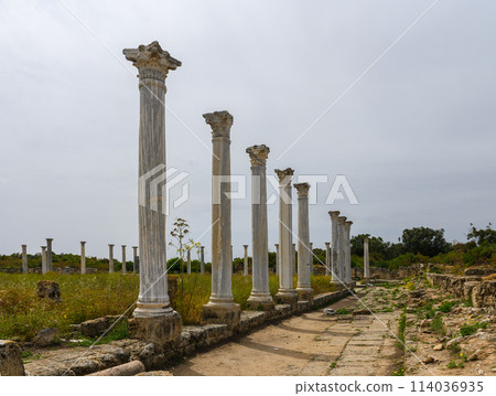 Remains of the ancient city of Salamis, Northern Cyprus 1 114036935