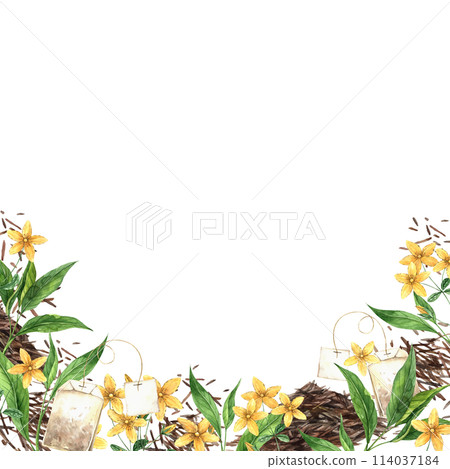 Watercolor frame on a tea theme with fresh and dry tea, a tea bag and tutsan. Illustration is hand drawn, suitable for menu design, packaging, poster, website, textile, invitation, brochure, textile. 114037184