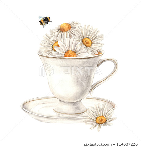 Watercolor composition with a ceramic mug, chamomile flowers and bumblebee. Illustration is hand drawn, suitable for menu design, packaging, poster, website, textile, invitation, brochure, textile. 114037220