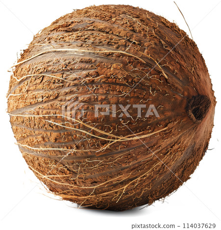 Close Up of a Coconut on White Background Close Up of a Coconut on White Background 114037629