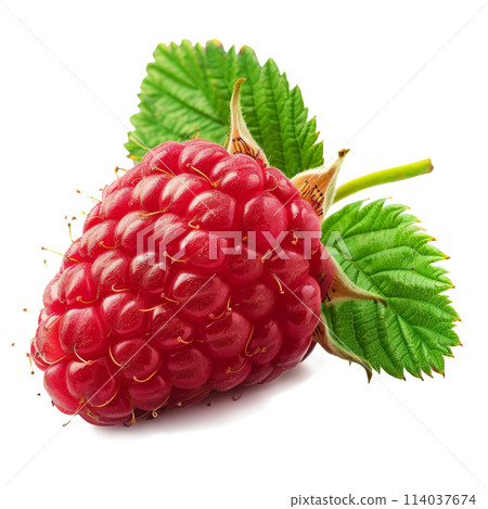 Close Up of a Raspberry on White Background 114037674
