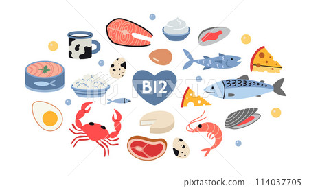 Best sources of vitamin B12 foods, cartoon style. Sea food, fish, meat, dairy products and eggs set. Isolated vector illustration, hand drawn, flat design 114037705