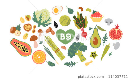 Best sources of vitamin B9 foods, cartoon style. Fruits, vegetables and nuts set. Isolated vector illustration, hand drawn, flat design 114037711