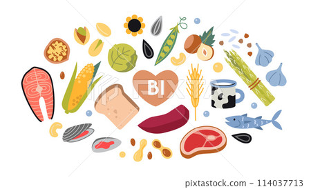 Best sources of vitamin B1 foods, cartoon style. Vegetables, fish, meat, dairy products and nuts set. Isolated vector illustration, hand drawn, flat design 114037713