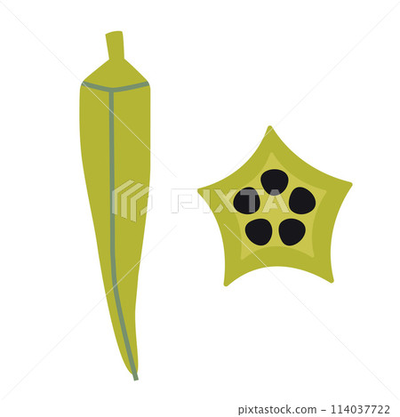 Okra, Lady finger, cartoon style. Vector illustration isolated on white background, hand drawn, flat design Okra, Lady finger, cartoon style. Vector illustration isolated on white background, hand drawn, flat design 114037722
