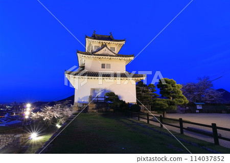 [香川縣] 櫻花盛開的春天的丸龜城（丸龜城燈火通明，夜晚櫻花盛開） 著名的石牆城堡 114037852