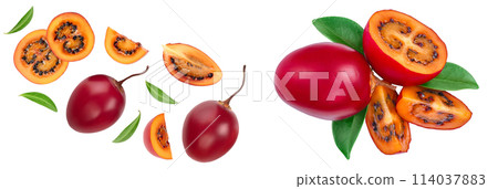 Fresh tamarillo fruit with leaves isolated on white background. Top view. Flat lay Fresh tamarillo fruit with leaves isolated on white background. Top view. Flat lay 114037883