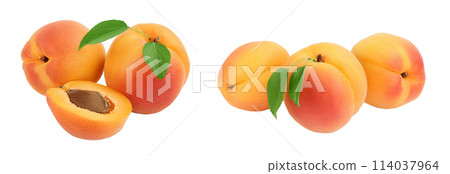apricot fruit with half isolated on white background. Clipping path and full depth of field 114037964