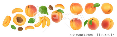 apricot fruit with half and slices isolated on white background. Clipping path. Top view. Flat lay apricot fruit with half and slices isolated on white background. Clipping path. Top view. Flat lay 114038017