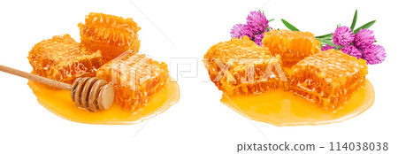 Honeycombs and honey puddle with clover flower isolated on white background with full depth of field 114038038