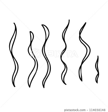 Seaweeds, laminaria algae. Underwater ocean plant vector illustration in doodle simple style isolated on white background. 114038148