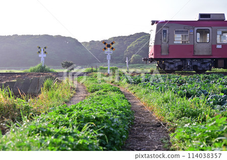 Choshi Electric Railway running through the morning mist 114038357