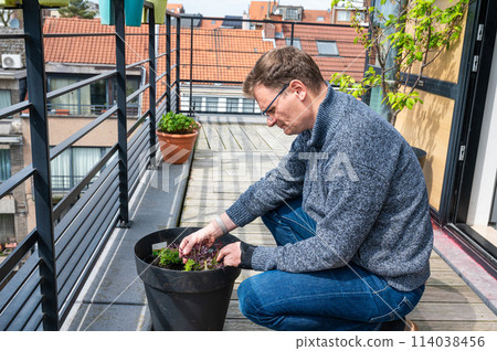 Portrait of a 45 yo white man cultivating plants on his terrace, Brussels, Belgium Portrait of a 45 yo white man cultivating plants on his terrace, Brussels, Belgium 114038456