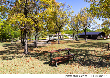 初夏的觀音山家庭公園，群馬縣高崎市 114038466