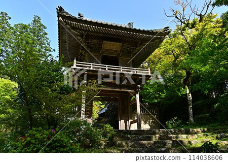 岩瀧寺的新綠 岩瀧寺的新綠 114038606