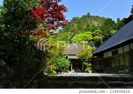 岩瀧寺的新綠 114038610
