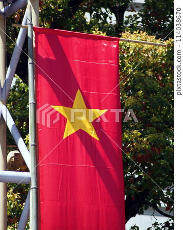 Vietnamese flag Vietnamese flag 114038670