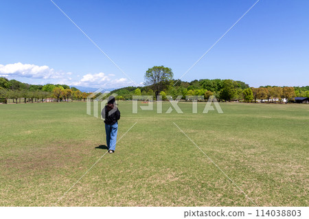 Early summer at Kannonyama Family Park in Takasaki, Gunma Prefecture 114038803
