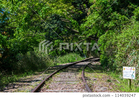 A very beautiful abandoned railway line in Sekigane, Kurayoshi City, Tottori Prefecture, Japan A very beautiful abandoned railway line in Sekigane, Kurayoshi City, Tottori Prefecture, Japan 114039247