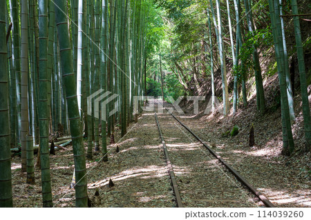 A very beautiful abandoned railway line in Sekigane, Kurayoshi City, Tottori Prefecture, Japan 114039260