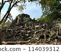 Ruins of Cambodia 114039312