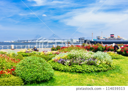 Spring in Yokohama Bay Area: Yamashita Park 114039313
