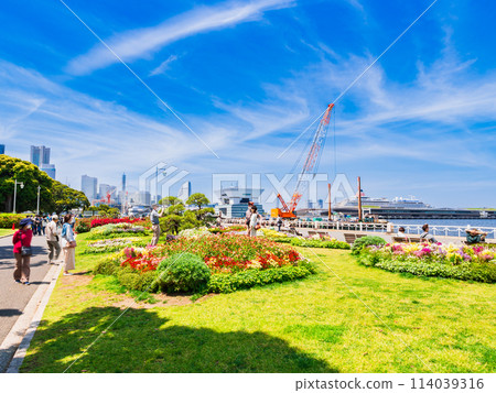 Spring in Yokohama Bay Area: Yamashita Park 114039316