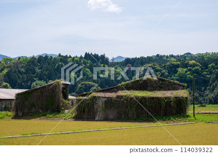 日本鳥取縣倉吉市關金的一座古老而美麗的建築 日本鳥取縣倉吉市關金的一座古老而美麗的建築 114039322