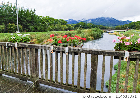 北海道/罕見?欽橋?從非洲木小鼓製成的木橋「南達羅橋」(Nandaro Bridge)看到的風景 北海道/罕見?欽橋?從非洲木小鼓製成的木橋「南達羅橋」(Nandaro Bridge)看到的風景 114039351