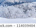 Yuzhno-Sakhalinsk, Match 03.2024 Ski resort Mountain Air Resort, Yuzhno-Sakhalinsk, Russia. 114039404