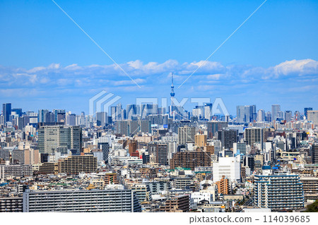 View from a high-rise building with a view of the Skytree 114039685