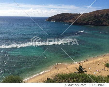 Hawaii's healing blue sea Hawaii's healing blue sea 114039689