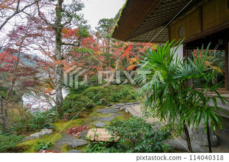 日本花園的景色被色彩繽紛的秋葉包圍 114040318
