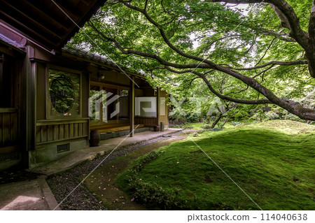 Saishoji Temple, known for its moss garden, teahouse and moss garden (Chikusei City, Ibaraki Prefecture) Saishoji Temple, known for its moss garden, teahouse and moss garden (Chikusei City, Ibaraki Prefecture) 114040638